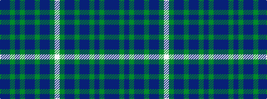 idealised woven sample of pattern BBGBGBBGBBGW