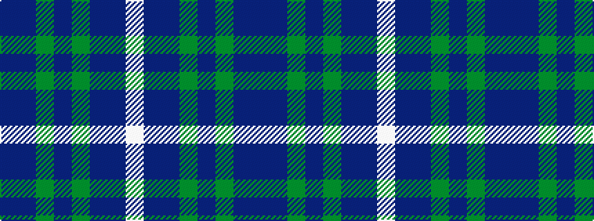 idealised woven sample of pattern BBGBGBBW