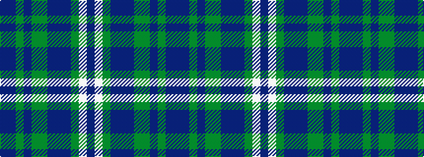 idealised woven sample of pattern BBGBGGBBBGWB