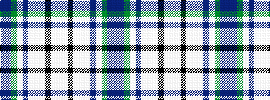 idealised woven sample of pattern BBGWBWWWKWW