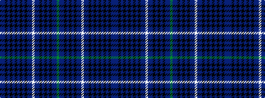 idealised woven sample of pattern BBKBKBKBKBKBBWBBKBKBKBBG
