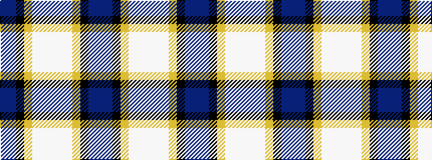 idealised woven sample of pattern BBKYWWWWWYKBB