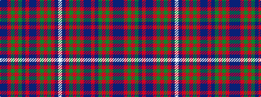 idealised woven sample of pattern BBRGRGBRBBRGRGRBW