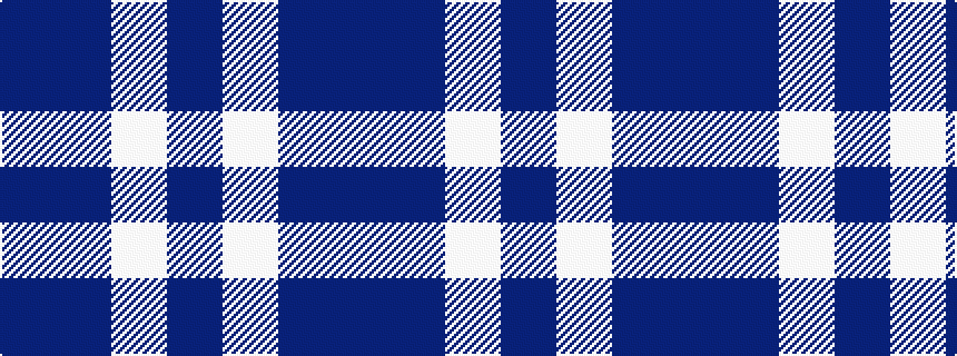 idealised woven sample of pattern BBWB