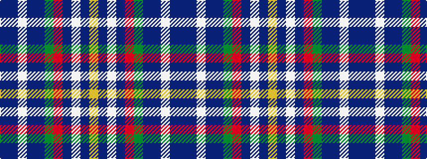 idealised woven sample of pattern BBWBBGRBWBY