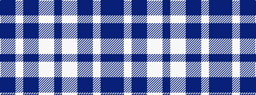 idealised woven sample of pattern BBWBBWWB