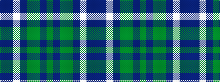 idealised woven sample of pattern BBWBGGBG