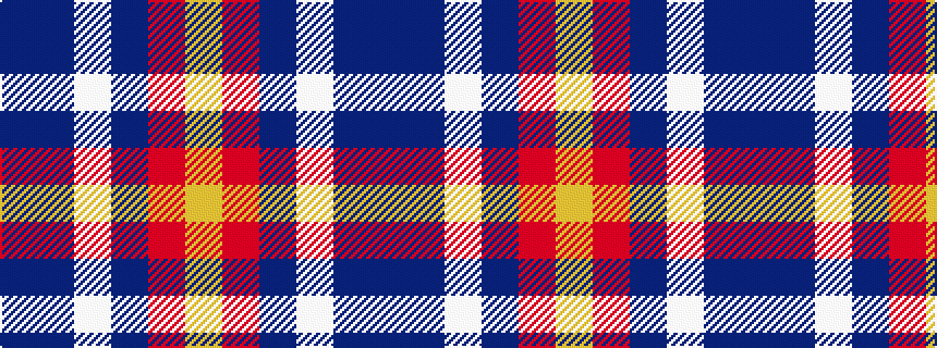 idealised woven sample of pattern BBWBRY