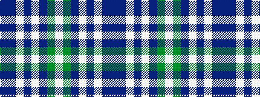 idealised woven sample of pattern BBWBWBGW