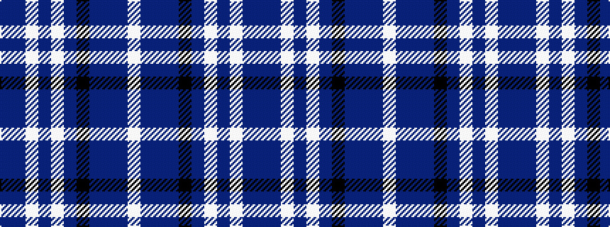 idealised woven sample of pattern BBWBWBKBBBW