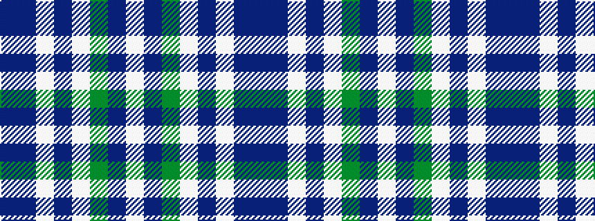 idealised woven sample of pattern BBWBWGBW
