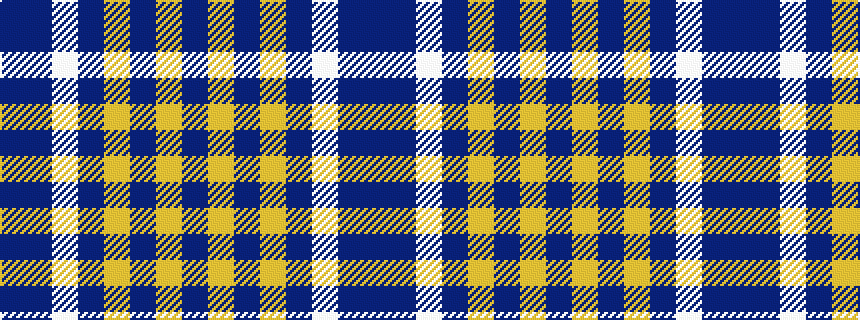 idealised woven sample of pattern BBWBYBYB