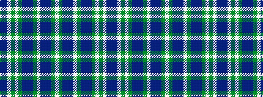 idealised woven sample of pattern BBWGWGBBBGWBBBGW