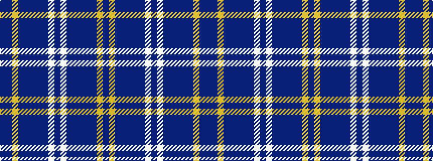 idealised woven sample of pattern BBYBBBBBWBWBBBBBYB