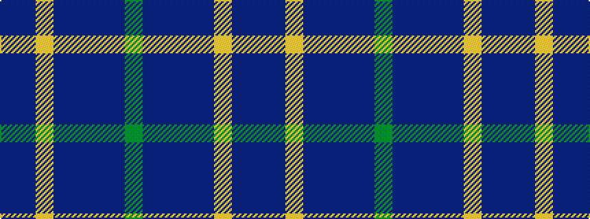 idealised woven sample of pattern BBYBBBBG