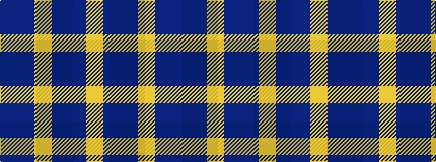 idealised woven sample of pattern BBYBBY