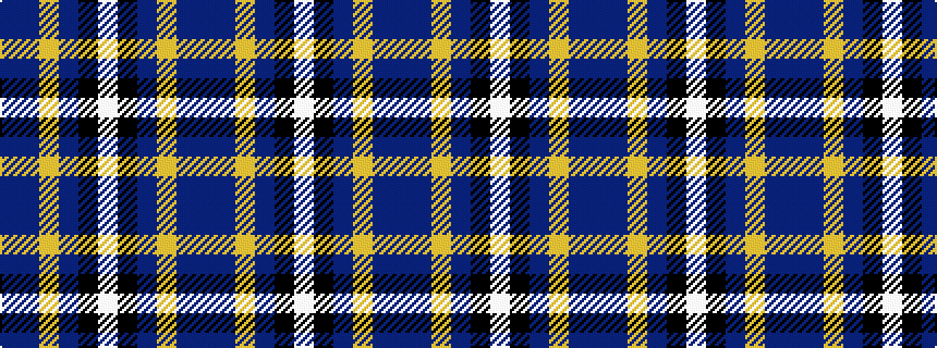 idealised woven sample of pattern BBYBKWKBYBB