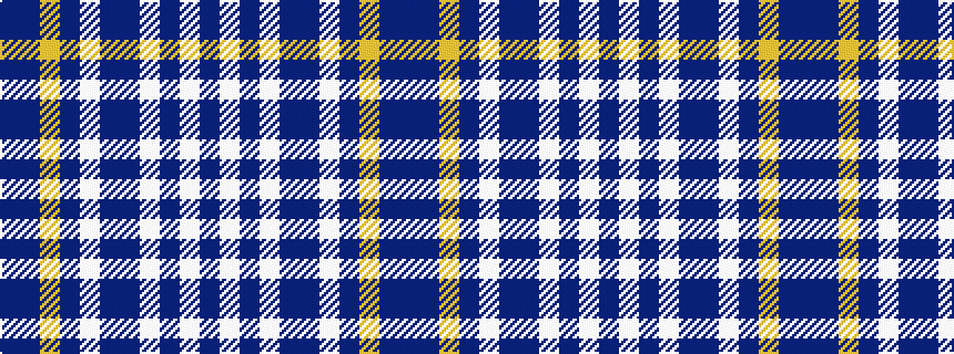 idealised woven sample of pattern BBYBWBBWBWB