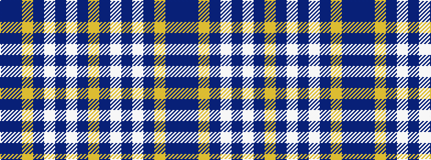 idealised woven sample of pattern BBYBWBWBY