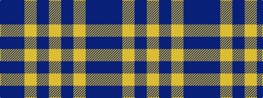 idealised woven sample of pattern BBYBY