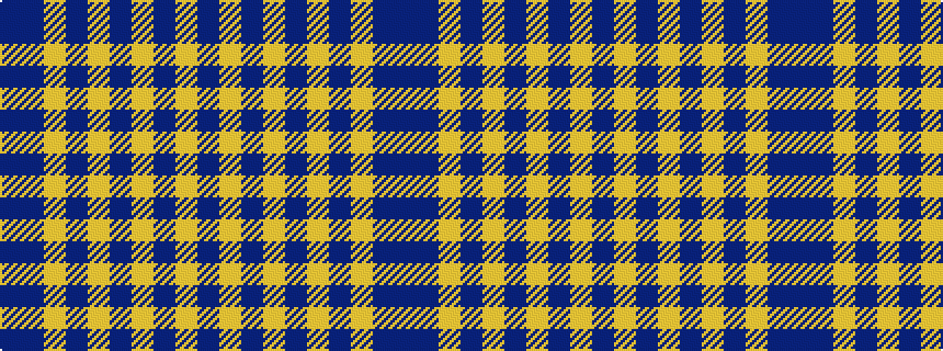 idealised woven sample of pattern BBYBYBYBYB