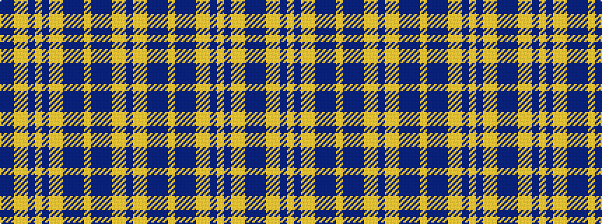 idealised woven sample of pattern BBYYBYBYYBBBYBBBYYB