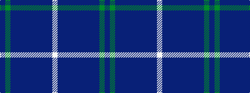 idealised woven sample of pattern BGBBBBBBBBW