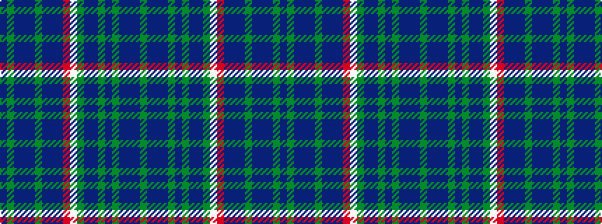 idealised woven sample of pattern BGBBBGBBBRWGBBGBGBBBG