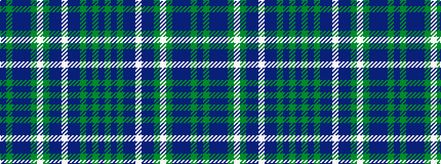 idealised woven sample of pattern BGBBBGWGBBWBBGBGB