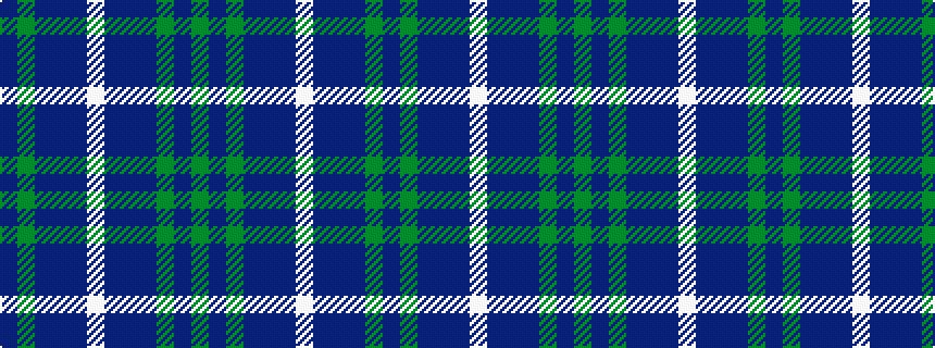 idealised woven sample of pattern BGBBBWBBBGBG