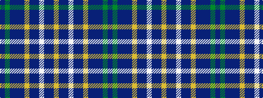 idealised woven sample of pattern BGBBBYBBWBBY