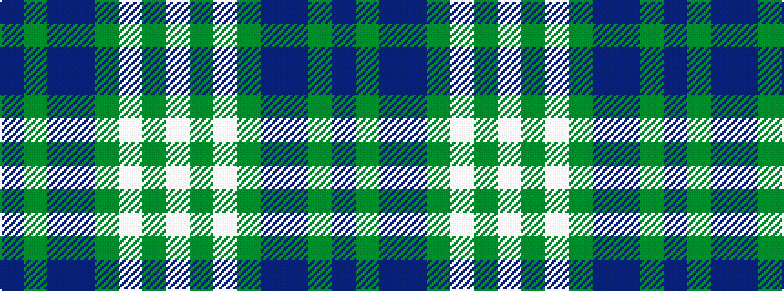 idealised woven sample of pattern BGBBGWGW
