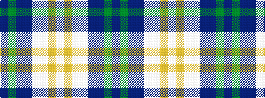 idealised woven sample of pattern BGBBWWYW