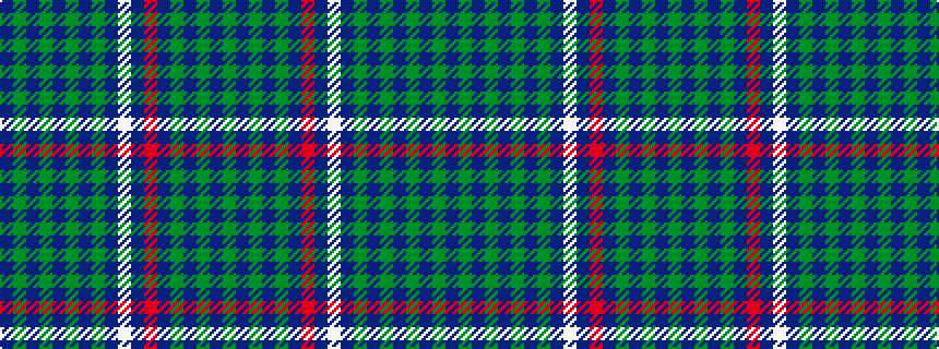 idealised woven sample of pattern BGBGBGBGBWBRBGBGBG