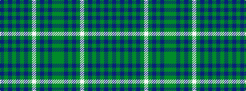 idealised woven sample of pattern BGBGBGBGWGBGBGG