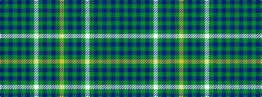 idealised woven sample of pattern BGBGBGBGWGBGBGY