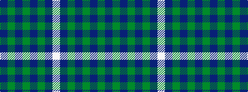 idealised woven sample of pattern BGBGBGBW