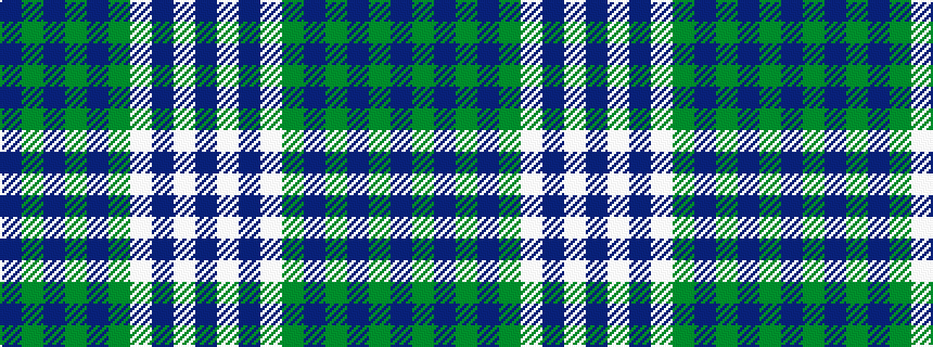 idealised woven sample of pattern BGBGBGWBWB
