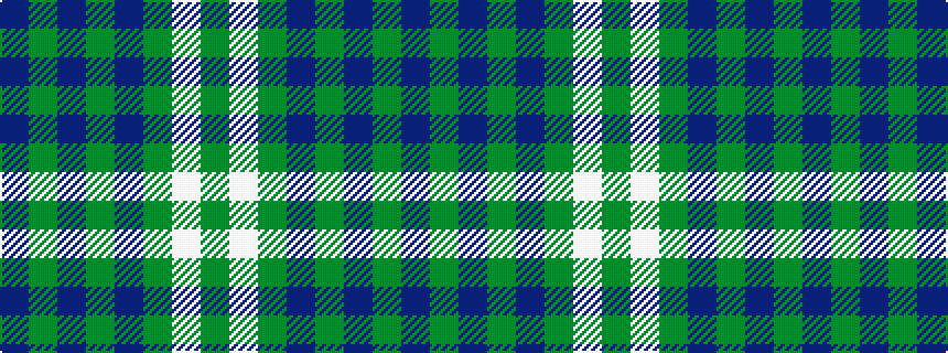 idealised woven sample of pattern BGBGBGWG
