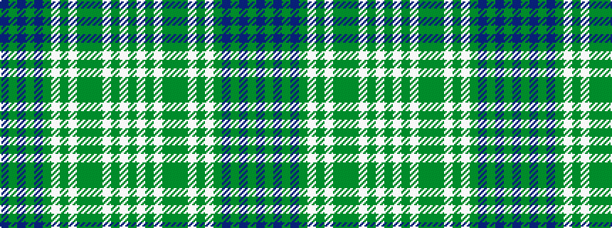 idealised woven sample of pattern BGBGBGWGWGGGWGWG