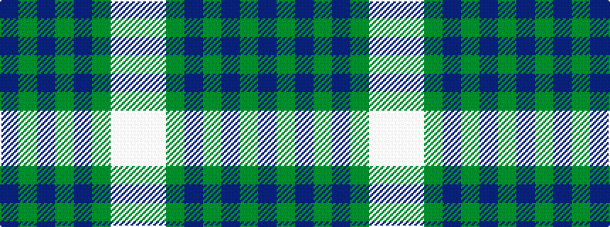 idealised woven sample of pattern BGBGBGWW