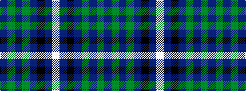 idealised woven sample of pattern BGBGBKBW