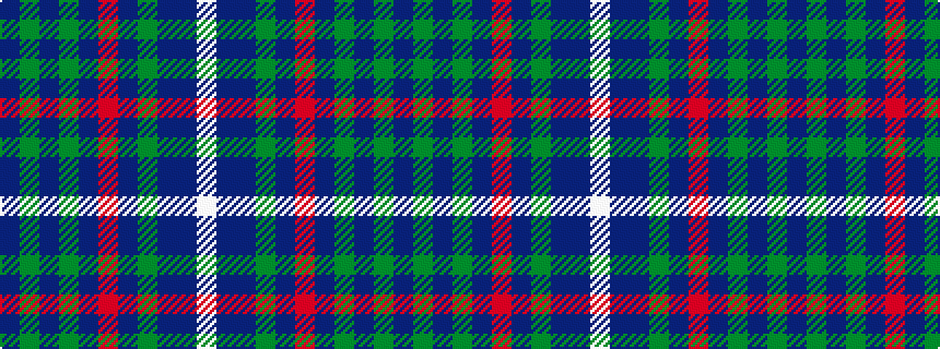 idealised woven sample of pattern BGBGBRBGBBW