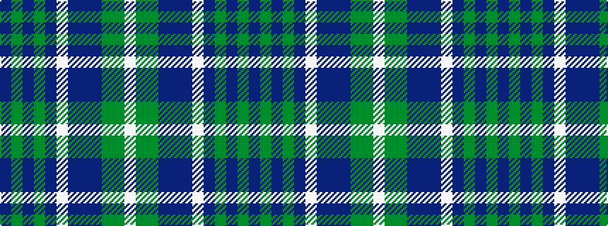 idealised woven sample of pattern BGBGBWBBBGGW