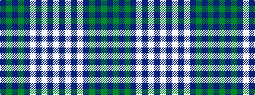 idealised woven sample of pattern BGBGBWBWBW
