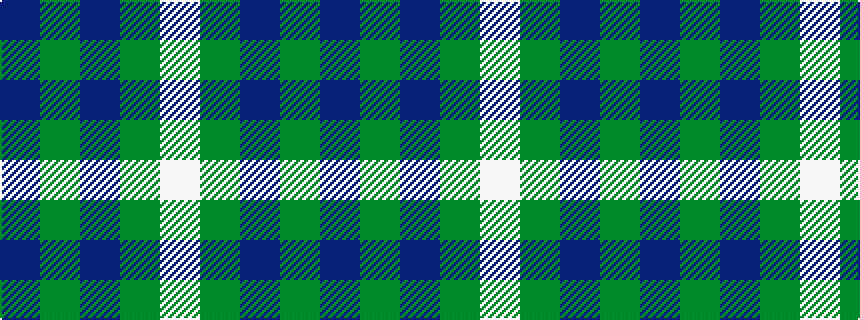 idealised woven sample of pattern BGBGW