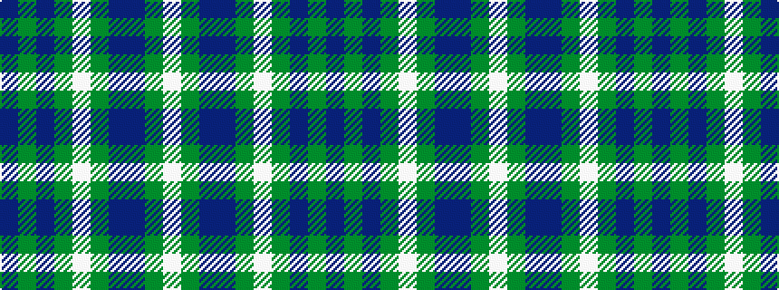 idealised woven sample of pattern BGBGWGBBGW