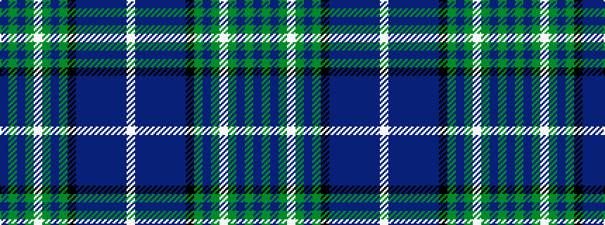 idealised woven sample of pattern BGBGWGBGKBBBBBBW