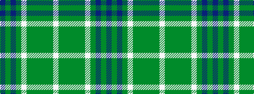 idealised woven sample of pattern BGBGWGGGGGW