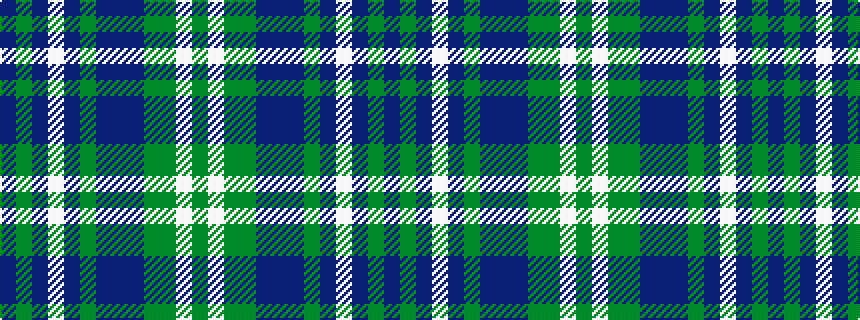idealised woven sample of pattern BGBWBGBBBGGWG